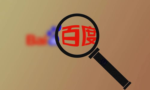 谁能做外推排名收录代做